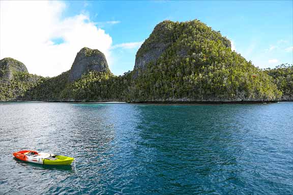 Seychelles Blue Safari